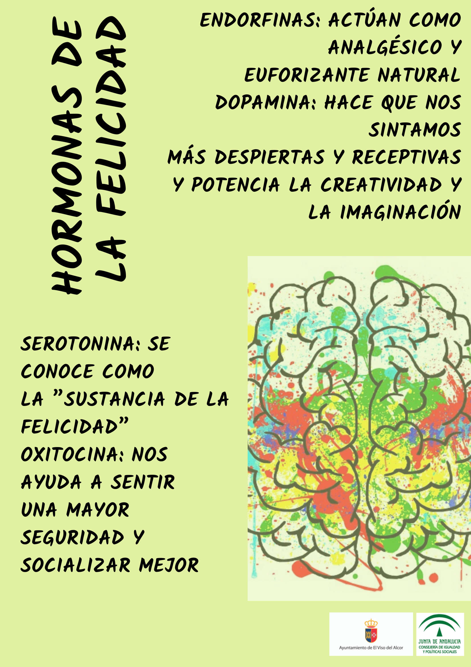 La Delegacion De Igualdad Informa Sobre Las Hormonas De La Felicidad Y Como Producirlas
