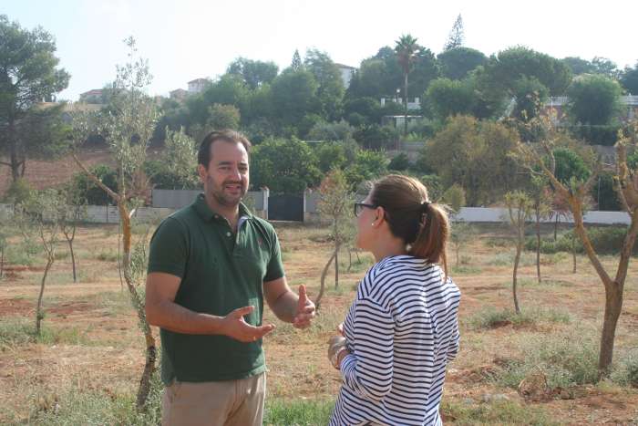 recepc plan ctra tocina