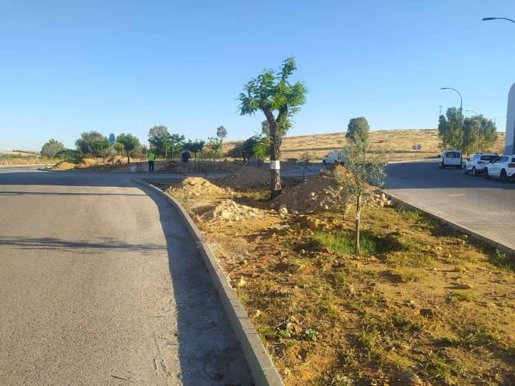 calle holanda, hta el tuno 1 calle holanda, hta el tuno 1