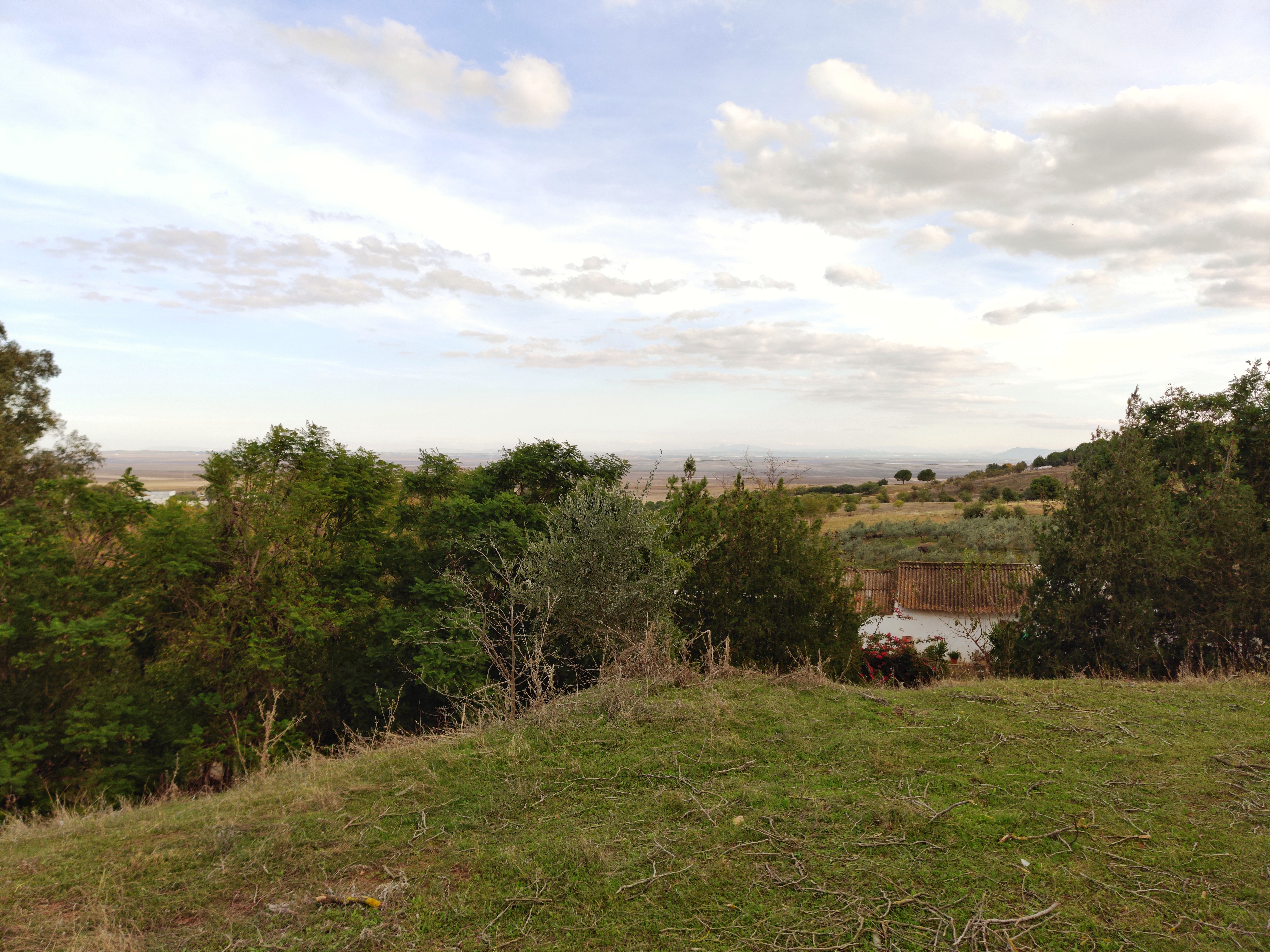 IMG_20201111_161028-01