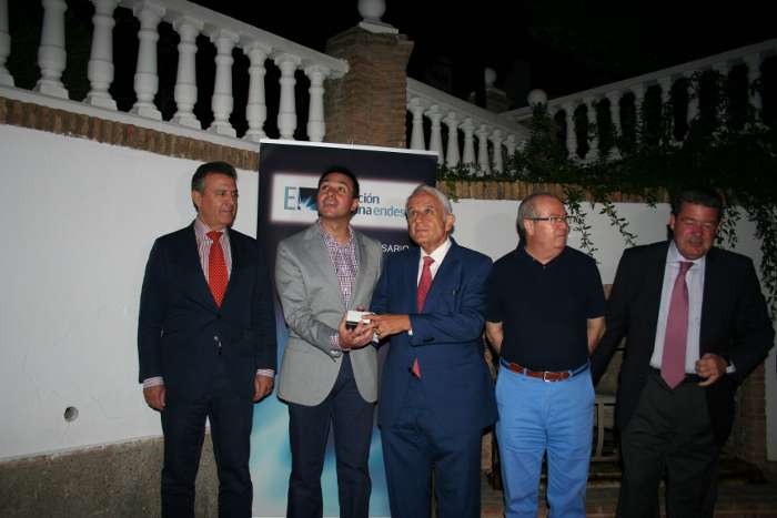 iluminac ayto endesa