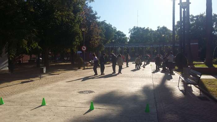 dia de la discapacidad 2015