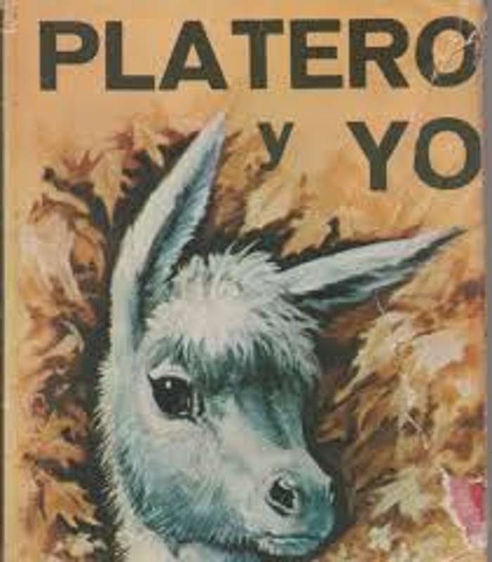 rueda pilar plan emergencia 2016