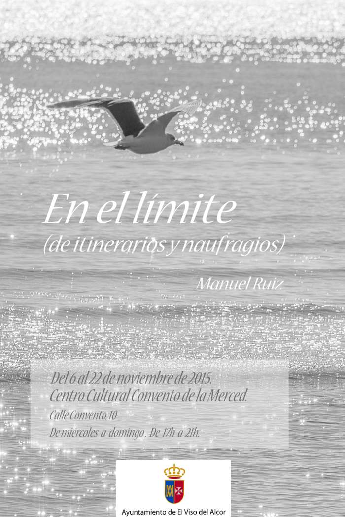 cartel expo manuel ruiz