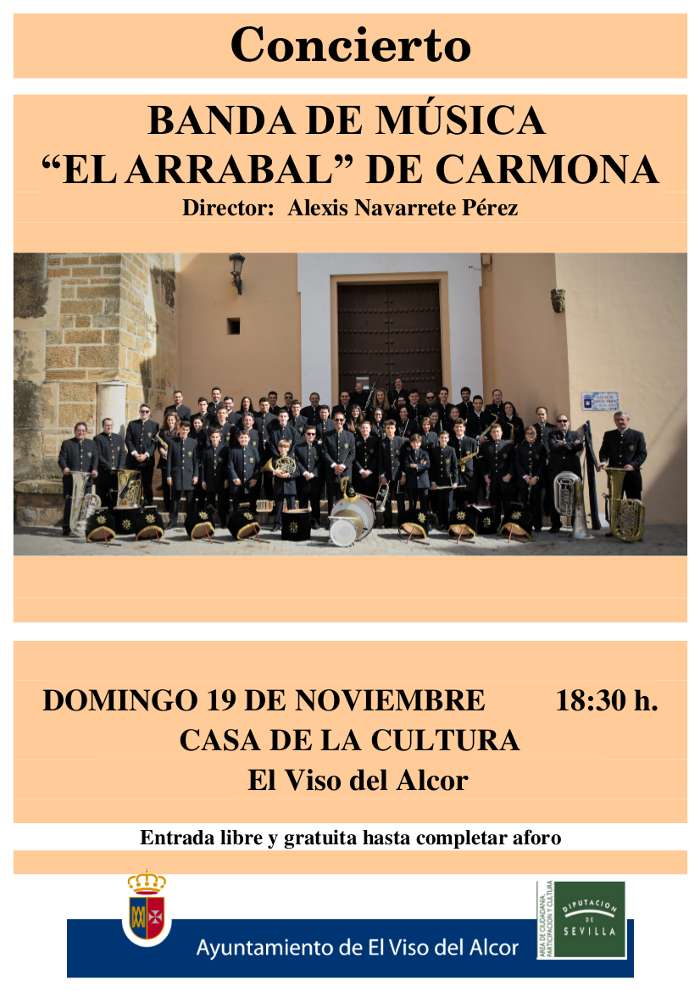 cartel concierto banda carmona