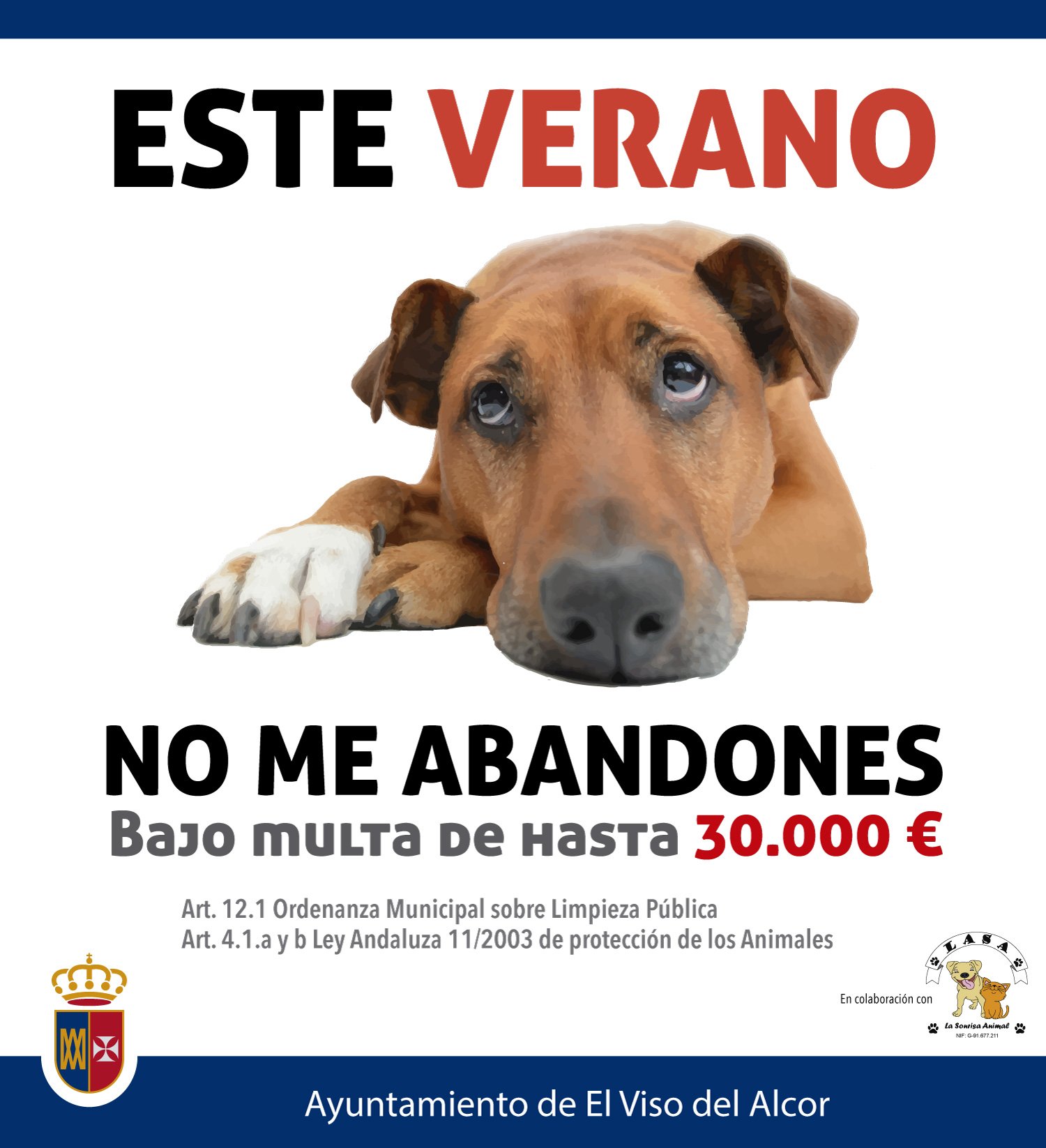 esteVeranoNoLoAbandones