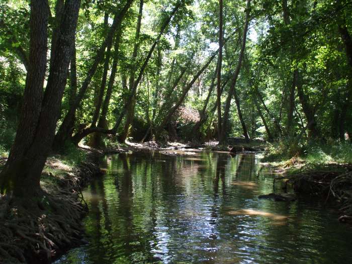 prog albaicin en la sierra