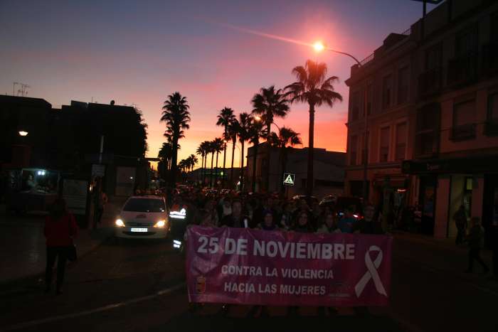 manifestacion 25 nov 2015