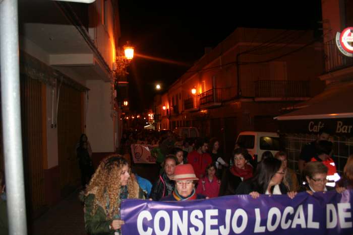 manifestacion 25 nov 2015