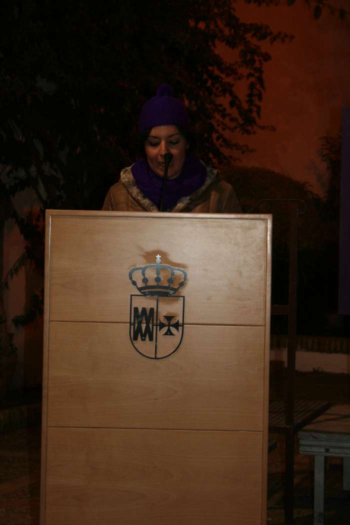 manifestacion 25 nov 2015