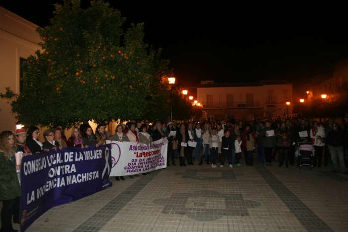 manifestacion 25 nov 2015
