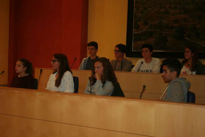 pleno joven 25 nov 2016