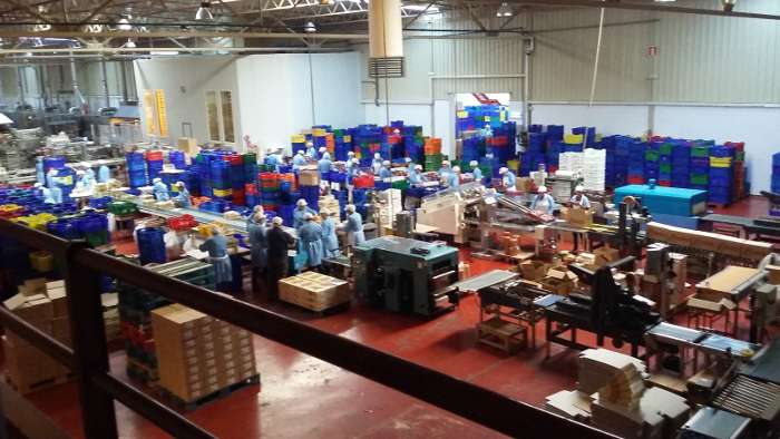 dia de la discapacidad 2016