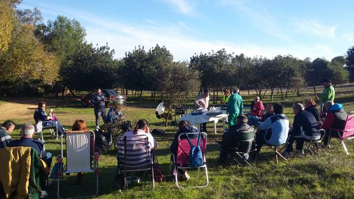 dia de la discapacidad 2016