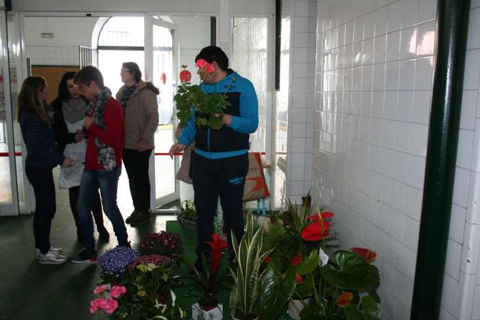 reapertura puesto avain