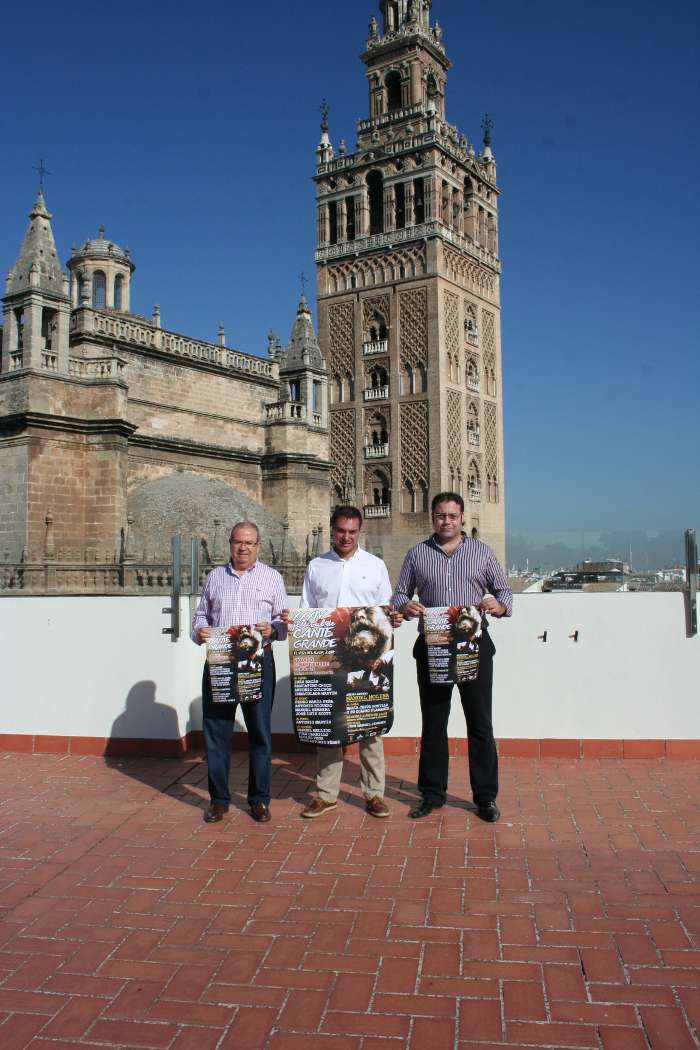 pres festival flamenco