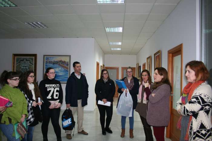 estudio accesib ayto