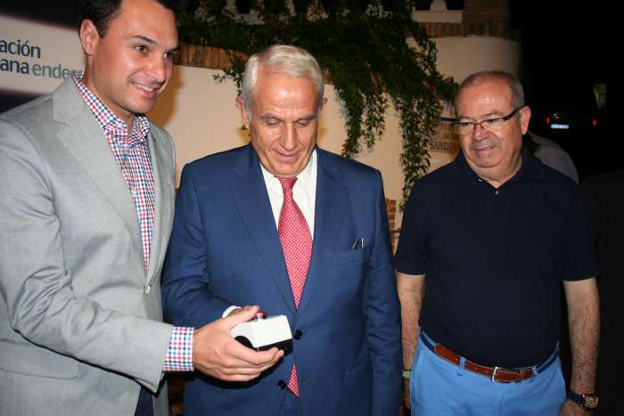 iluminac ayto endesa