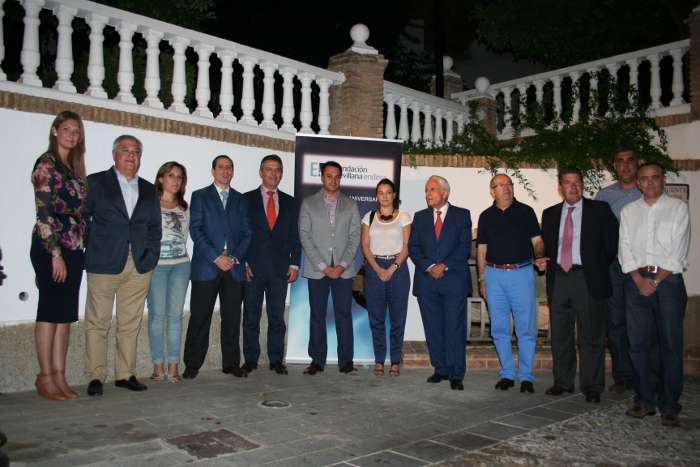 iluminac ayto endesa