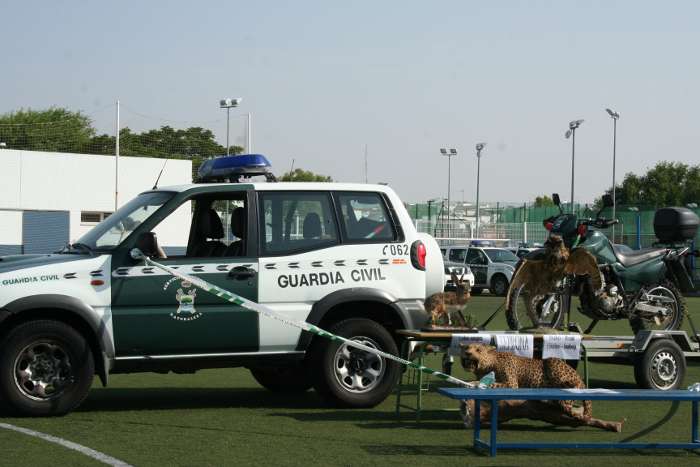 exhibición guardia civil