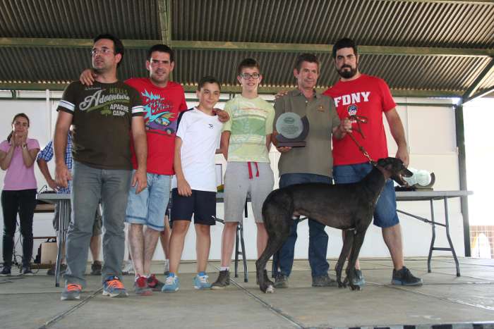 premios feria galgo