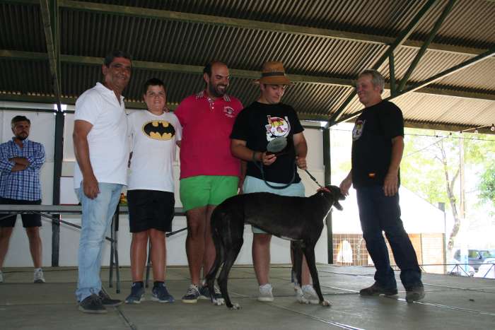 premios feria galgo