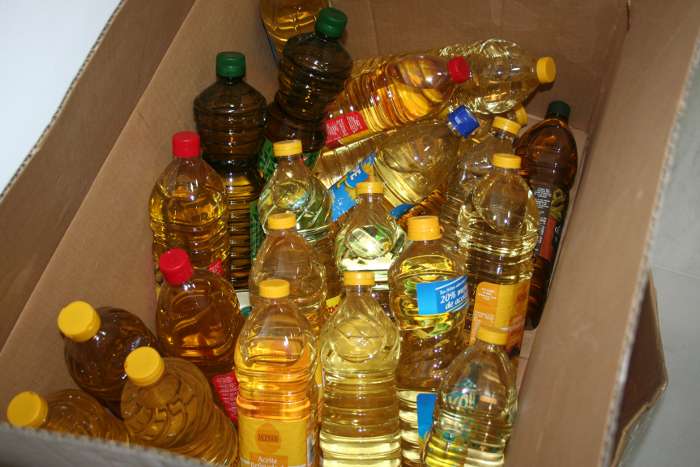 campaña sahara 2017