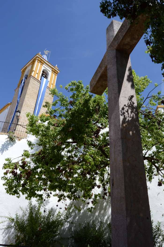 ganador concurso instagram 2015