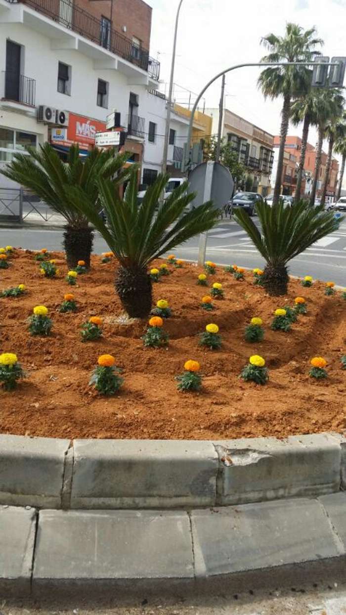 arreglo plazas taller empleo