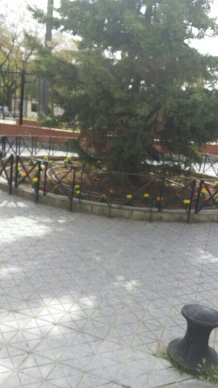 arreglo plazas taller empleo