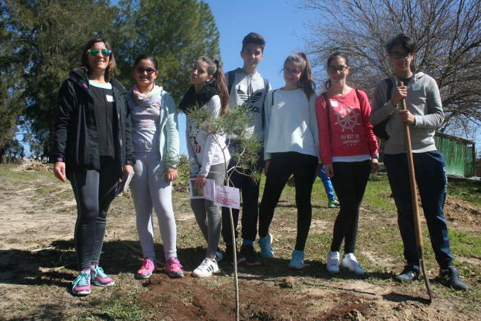 dia del árbol 2016