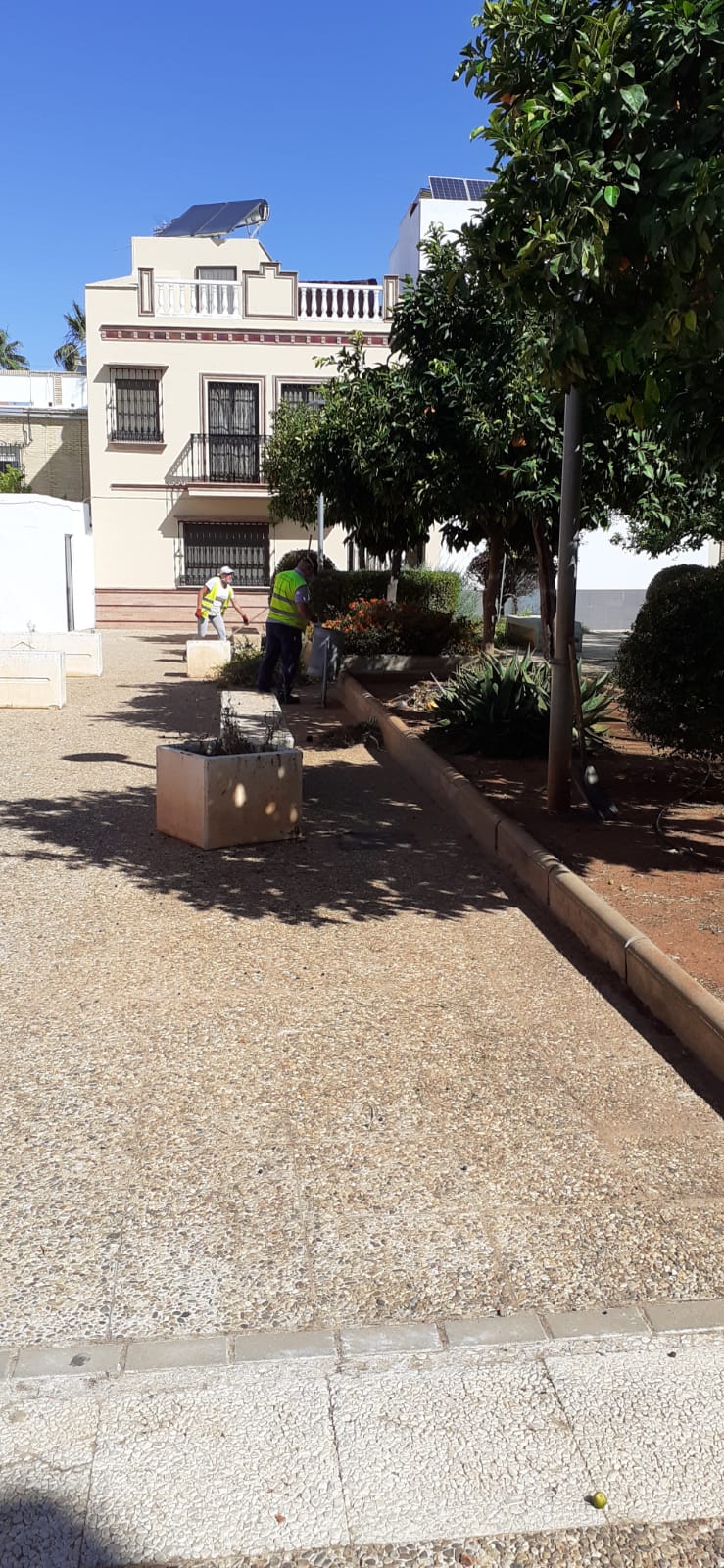 PHOTO-2020-06-08-12-08-47