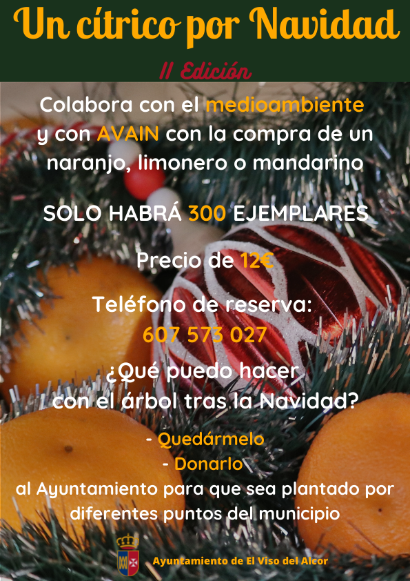 Un arbol por Navidad 1