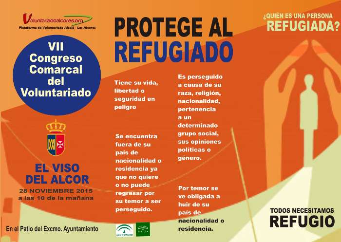 cartel congreso voluntariado