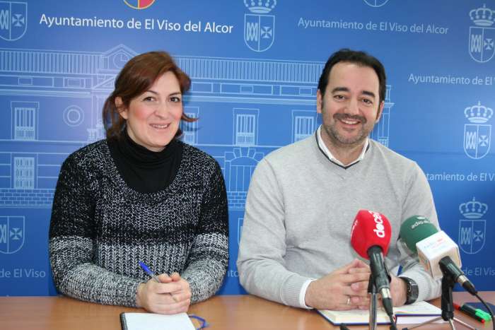 consejo local de accesibilidad