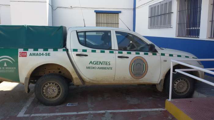 recuperacion buho caribo