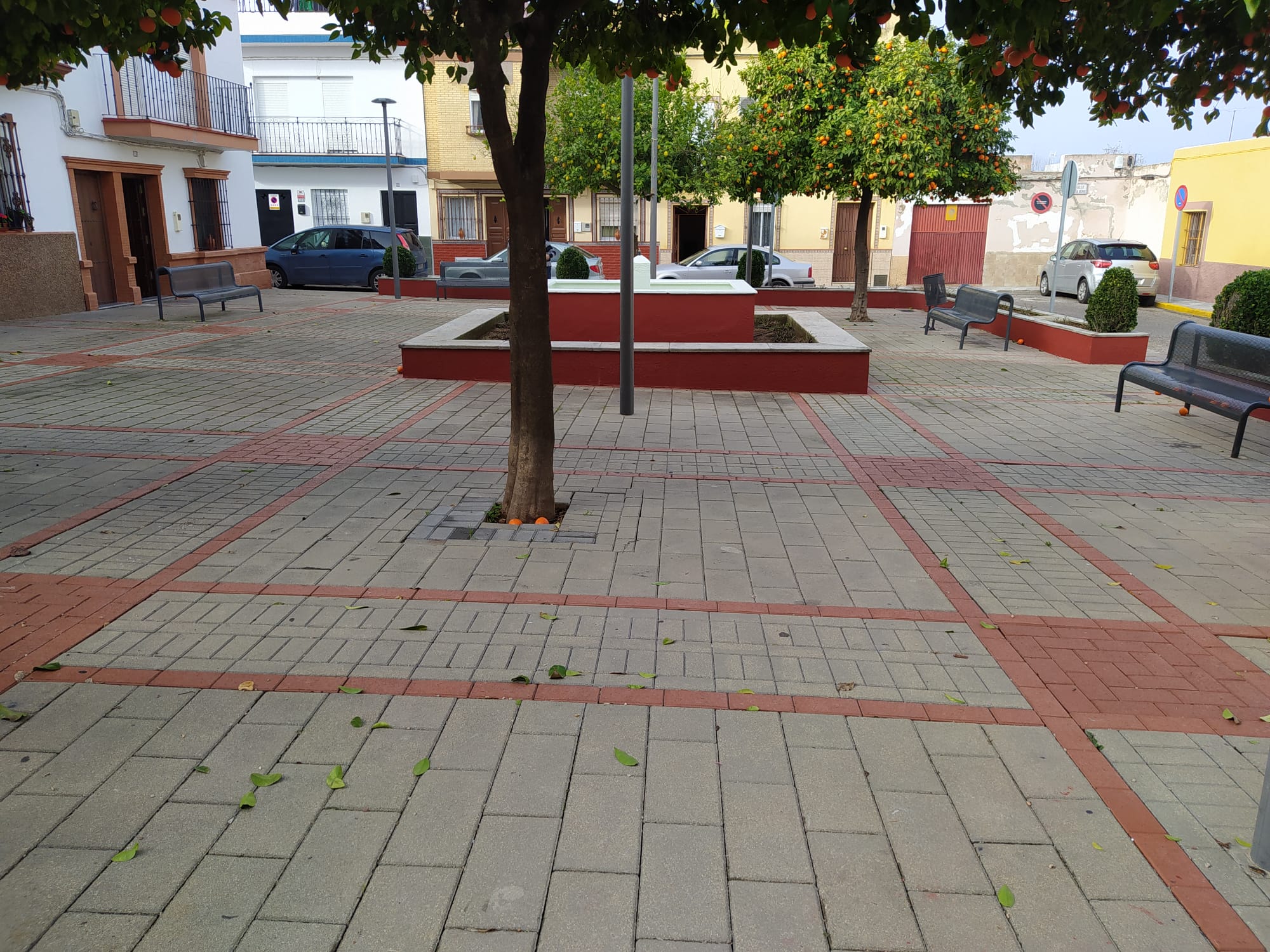 144604249_1321567561511707_4132016322320921746_o