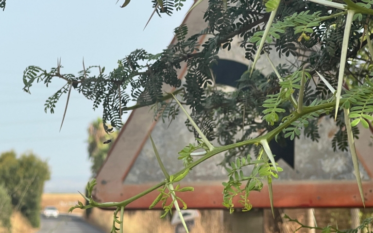 Anuncio limpieza carretera de brenes 1