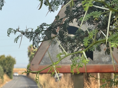 Anuncio limpieza carretera de brenes 1