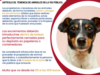 Artículo 26. Tenencia de animales en la vía pública