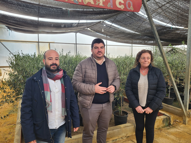 Presentación un arbol por navidad 2023